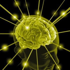 螢幕擷取畫面 (8) Complex Memory Trainer