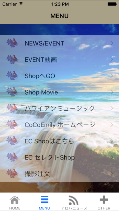 Screenshot #2 pour フラの世界、ハワイをおまとめ *ココエミリー*