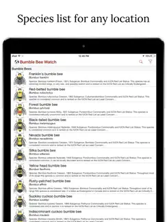 Bumble Bee Watch iPad image 1