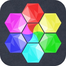 Activities of Mini Color Hexa Puzzle