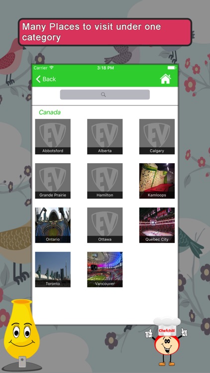 Famous Stadiums SMART Guide