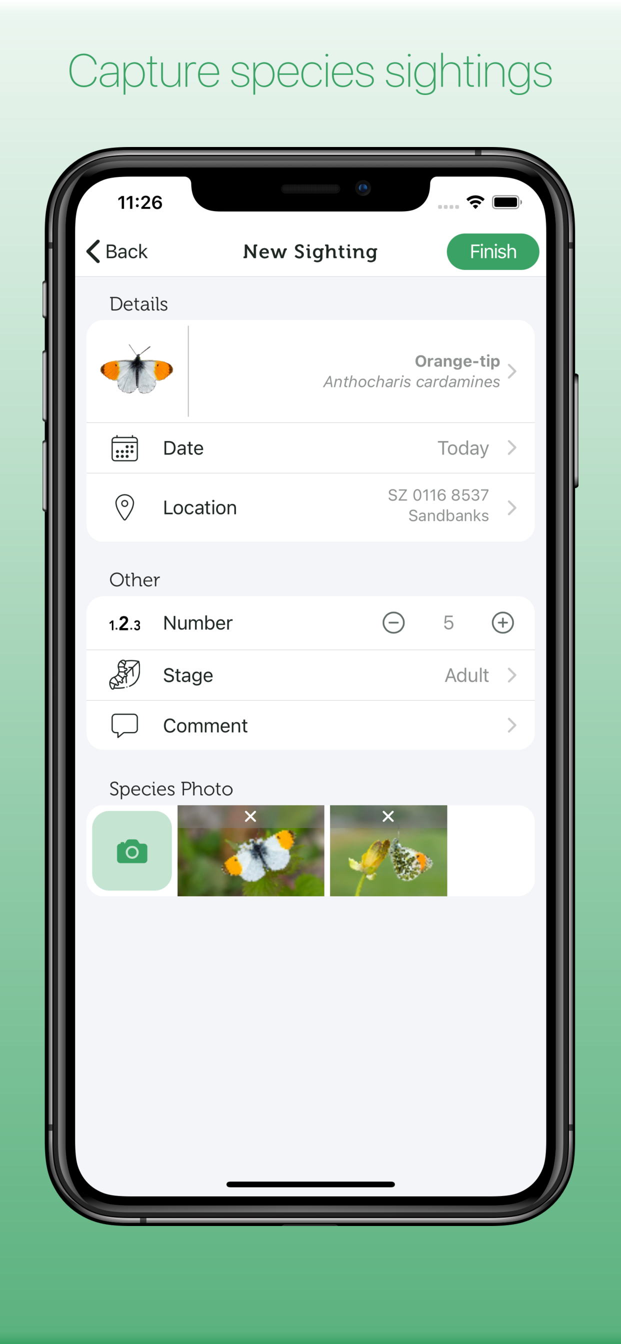 iRecord Butterflies