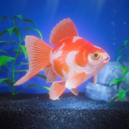 Gold Fish Pet Cheats