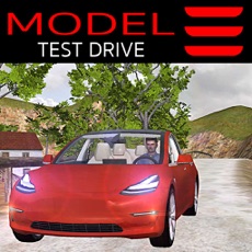 Activities of Model 3 Test Drive