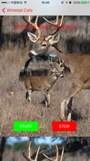 whitetail hunting calls - real deer sounds iphone screenshot 2