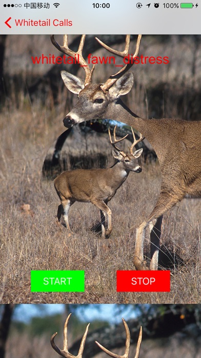 Whitetail Hunting Calls - Real Deer Soundsのおすすめ画像2