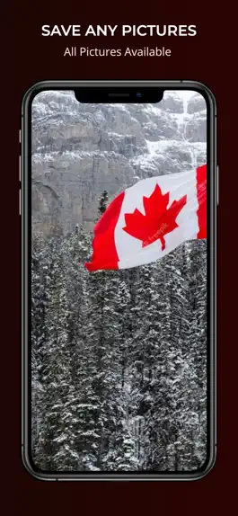 Game screenshot Flag Canada WallPaper hack