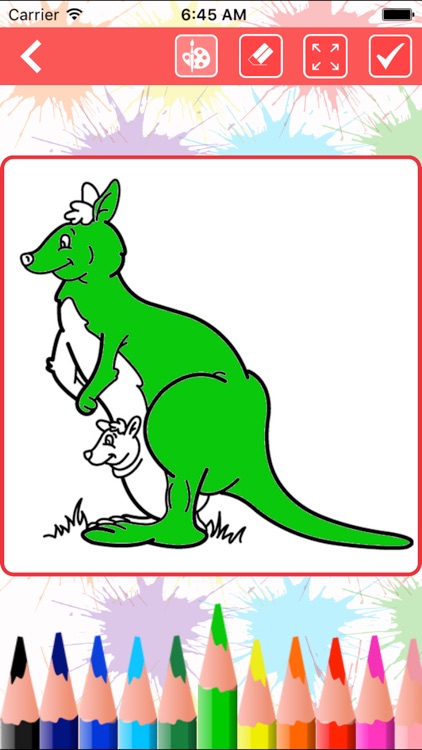 Animal Coloring Book : Coloring Book