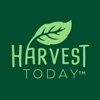 Harvest Today icon