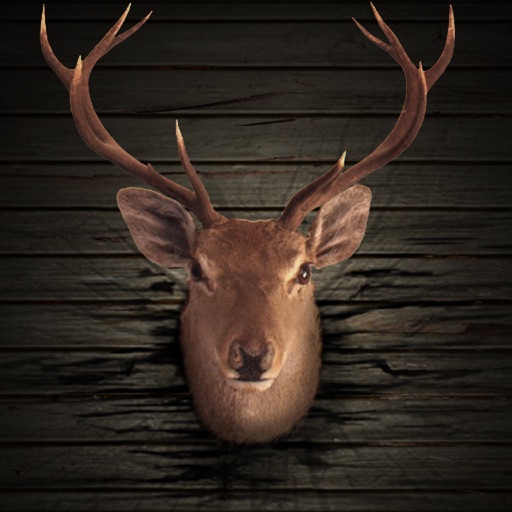 Buck Bear Hunter 2016- free deer hunting games icon