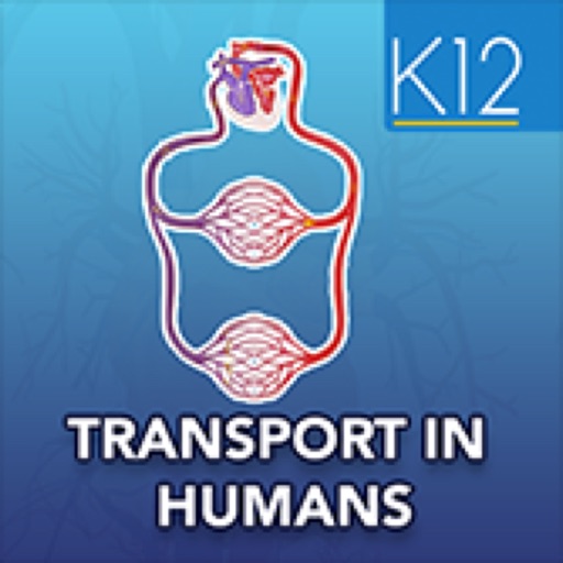 Transport in Humans- Biology icon