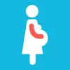 Pregnancy Organizer & Tracker negative reviews, comments