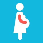 Download Pregnancy Organizer & Tracker app
