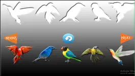Game screenshot Fun Learning Birds Shapes Stencil for Toddlers hack