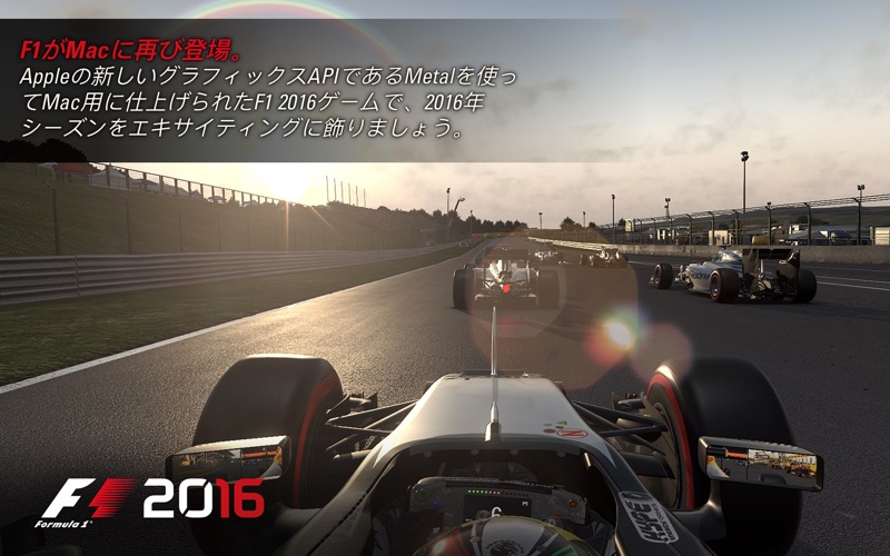 F1™ 2016 screenshot1