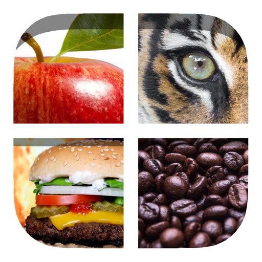 Close Up Stuff - Guess the Word Quiz Trivia Games iOS App