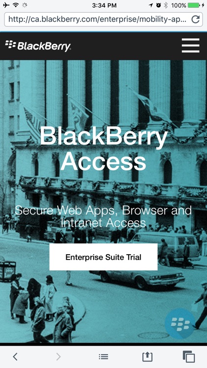 BlackBerry Access