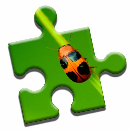 Insect Love Puzzle Cheats