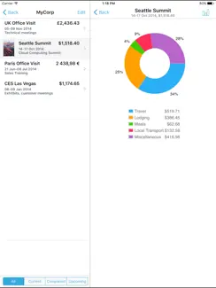 BizExpense iPad image 2