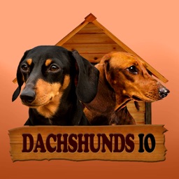 Dachshunds IO (Opoly)