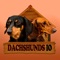 DACHSHUNDS IO