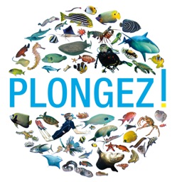 Plongez !