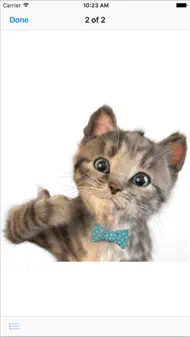 Little Kitten Stickers iphone bilder 2
