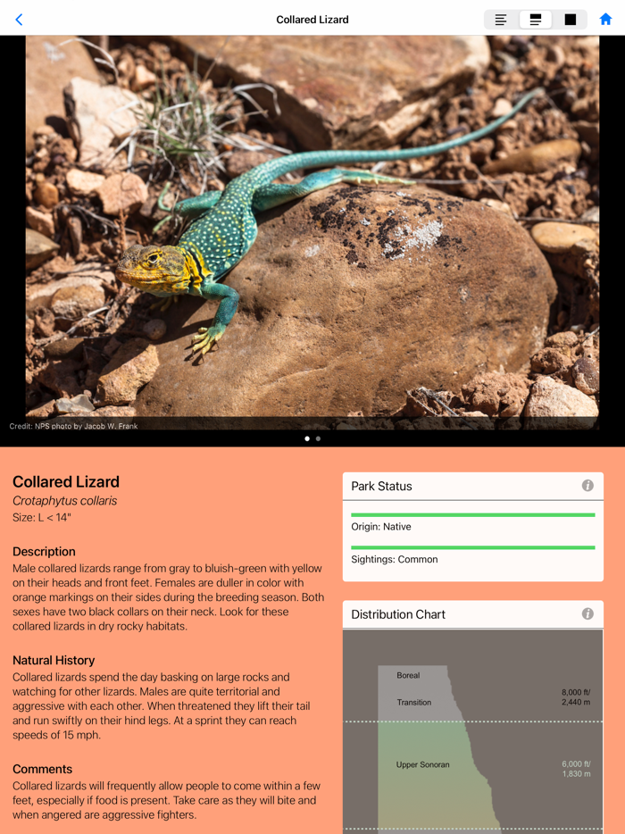 Grand Canyon NP Field Guide