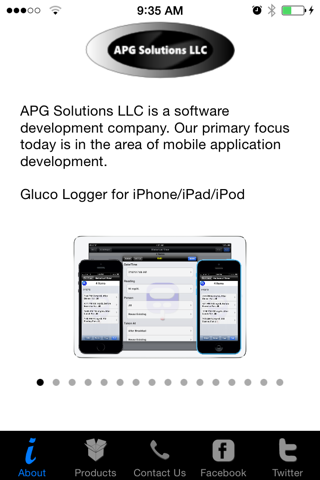 APG Solutions LLC screenshot 2
