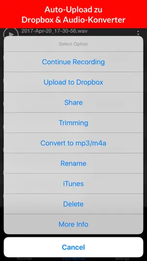 Screenshot von Voice Recorder & Audio Memos auf dem iPhone 4