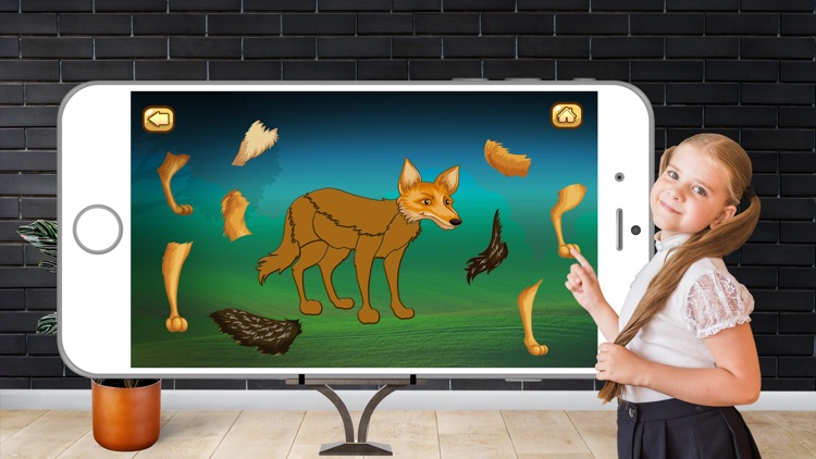 Kids Animal Jigsaw Puzzles