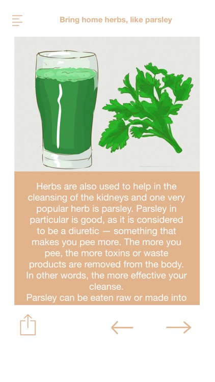 Kidney Stones Natural Remedies