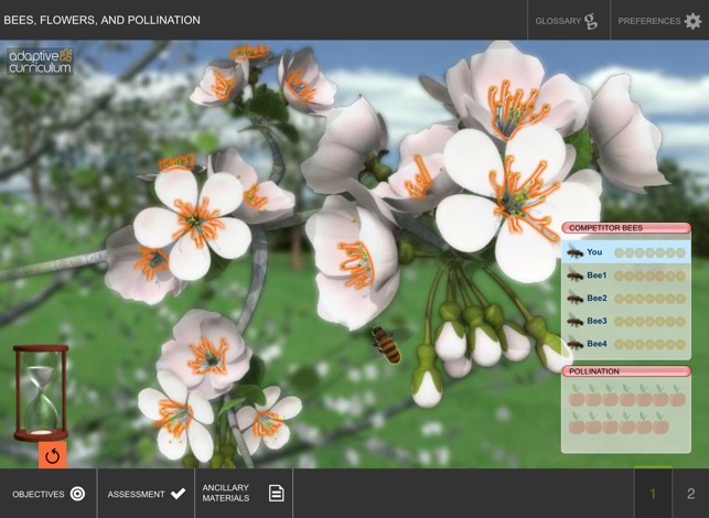 Bees, Flowers, and Pollination(圖1)-速報App