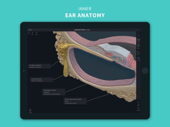 Complete Anatomy 2024 iPad app afbeelding 9