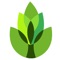 Garden Answers Plant Identification helps you identify over 20,000 plants