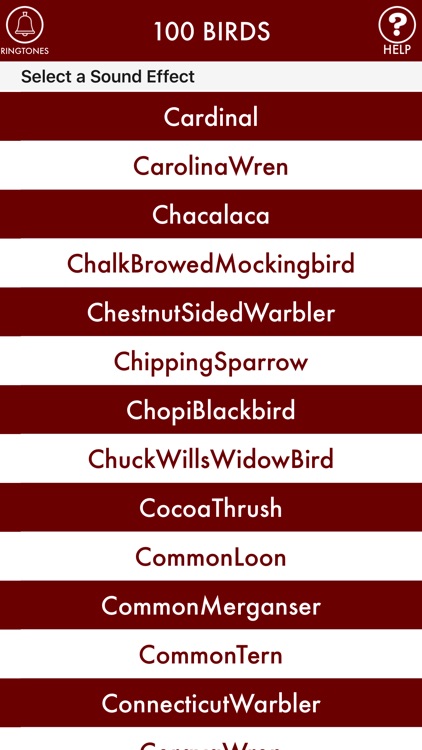 100BIRDS + RINGTONES Bird Calls Tweets Sounds
