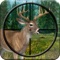 Animal Hunting : Shooting Adventure