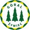 Góral Żywiec icon