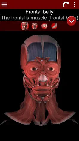 Game screenshot Muscular System 3D (anatomy) mod apk