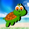 Matching Game Turtle For Kids Have A Fun