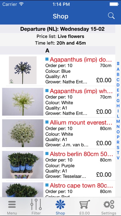 GT Flowers Shop