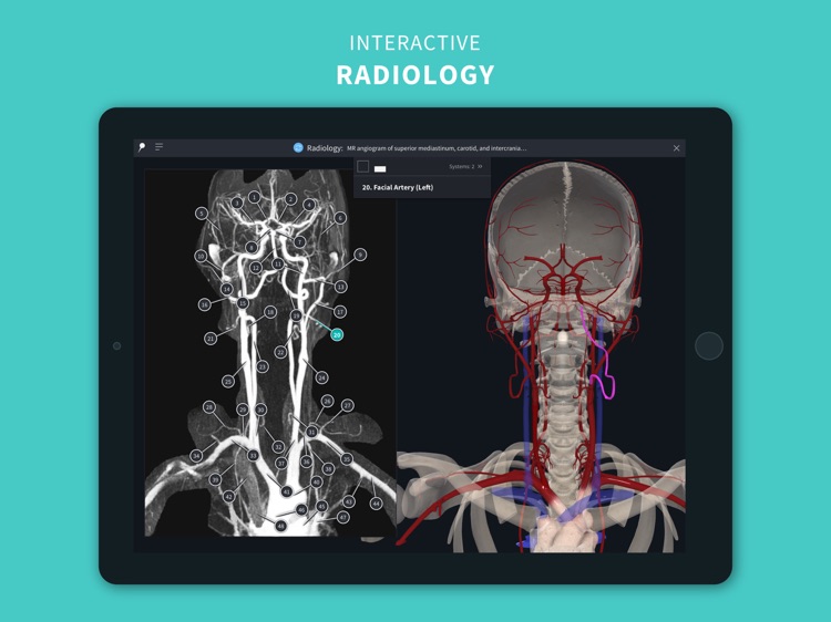 Complete Anatomy 2024 screenshot-7