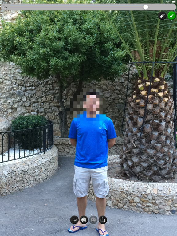 Blur Image iPad screenshot 4 - Photo & Video app