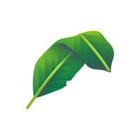 mPan WiFi and Network Toolkit