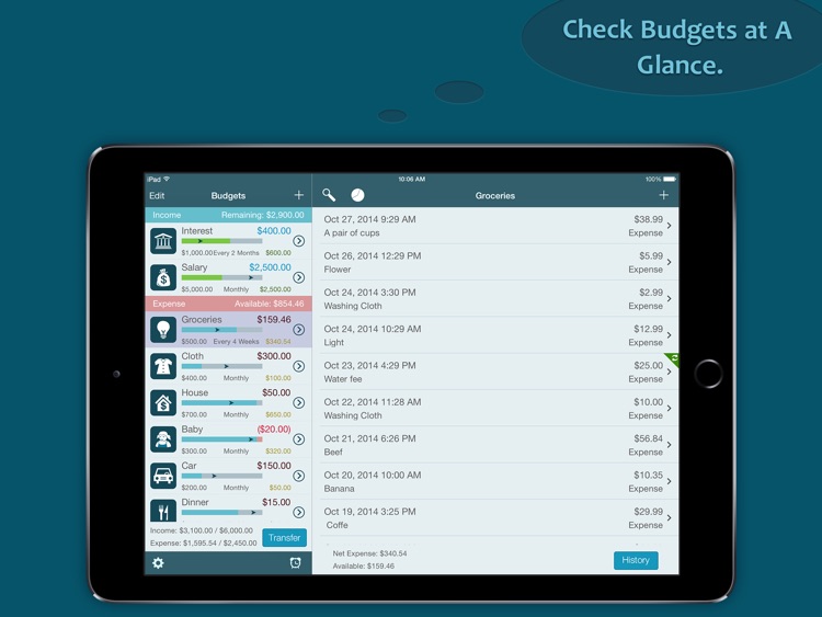 Best Budget for iPad - Money Saver and Expense Log