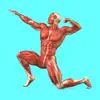 Muscular System Quizzes problems & troubleshooting and solutions