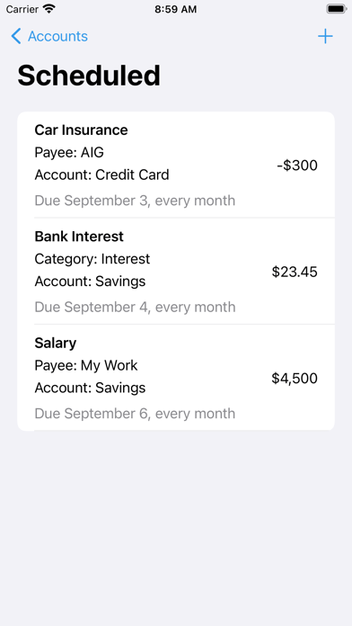 Debit & Credit Screenshot