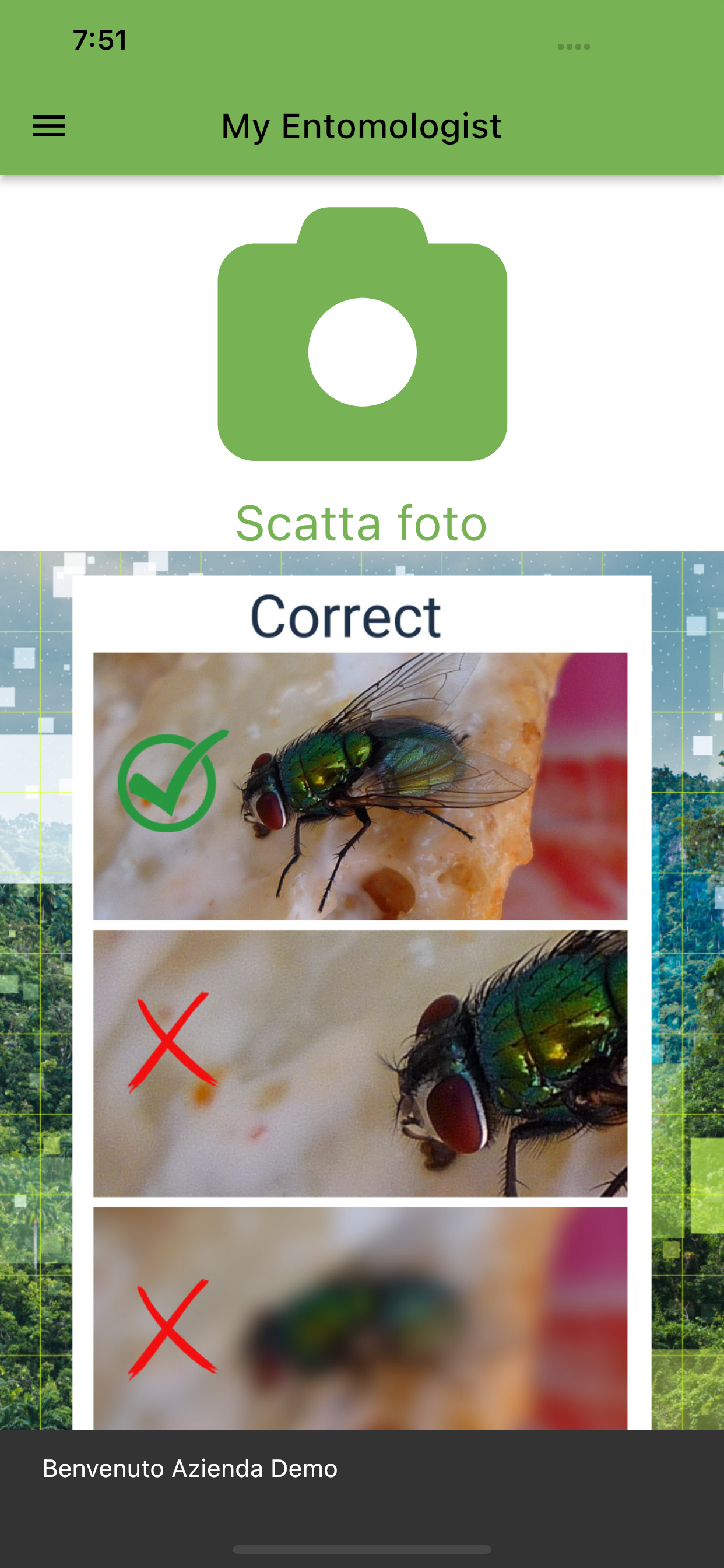 MyEntomologist
