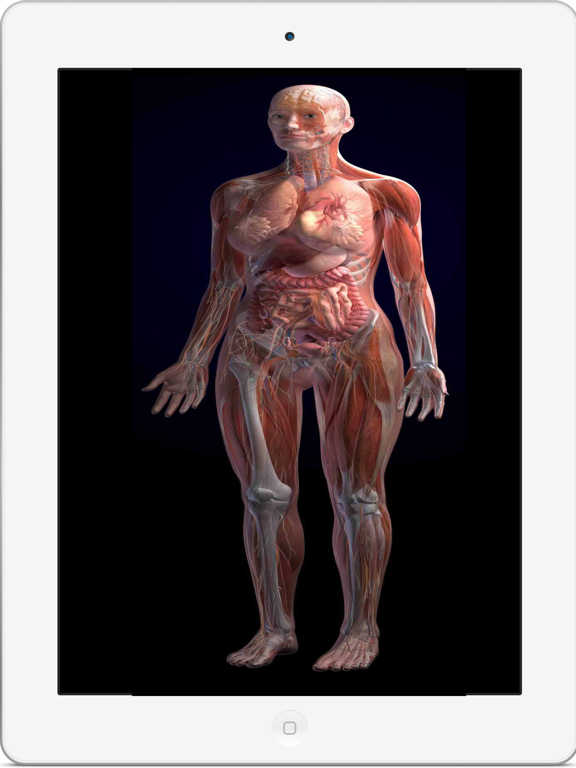 全套人体解剖のおすすめ画像5