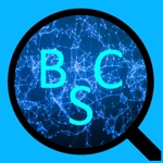 Download BSC Explorer app